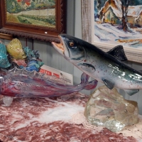 DSCN1012.JPG