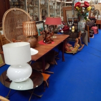DSCN6184