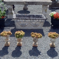 DSCN7064