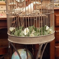 cagedeco