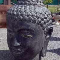 tete-boudha