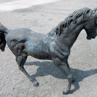 Cheval en bronze statue pour intérieur comme extérieur