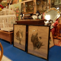 Nouvelles découvertes, à venir admirer en boutique